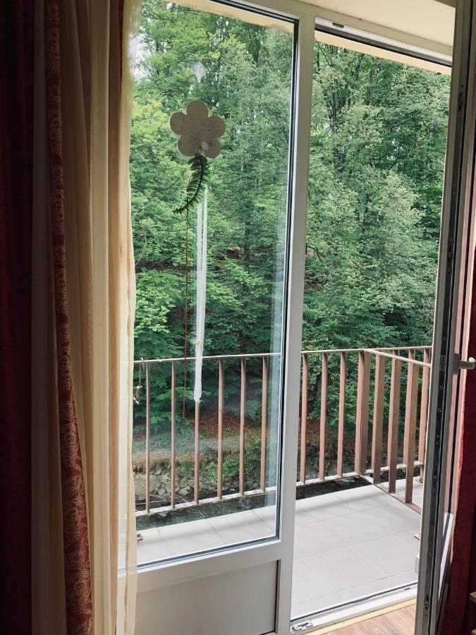 Hotel Pensiunea Pastravul Cîrţişoara Exterior foto