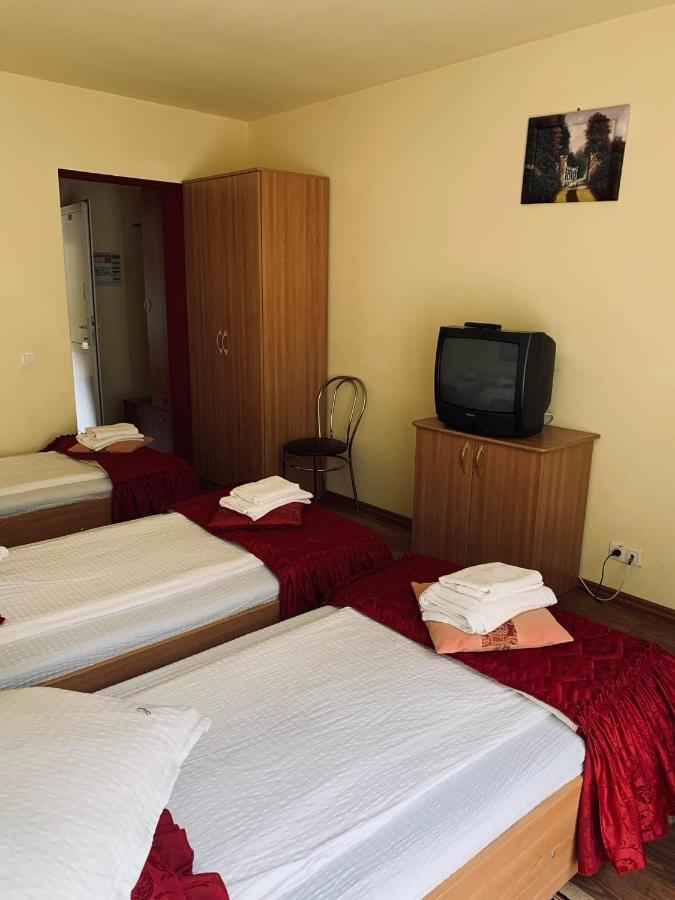 Hotel Pensiunea Pastravul Cîrţişoara Exterior foto
