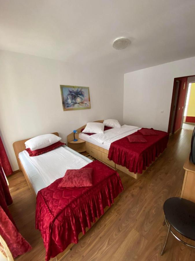 Hotel Pensiunea Pastravul Cîrţişoara Exterior foto