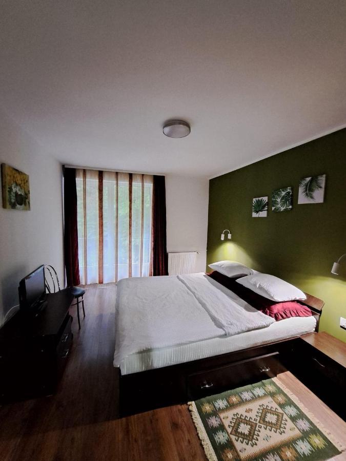 Hotel Pensiunea Pastravul Cîrţişoara Exterior foto