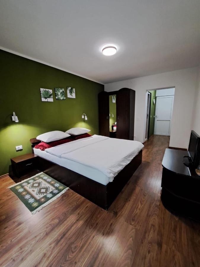 Hotel Pensiunea Pastravul Cîrţişoara Exterior foto